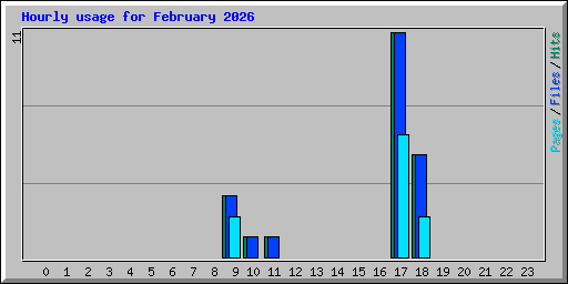 Hourly usage for February 2026