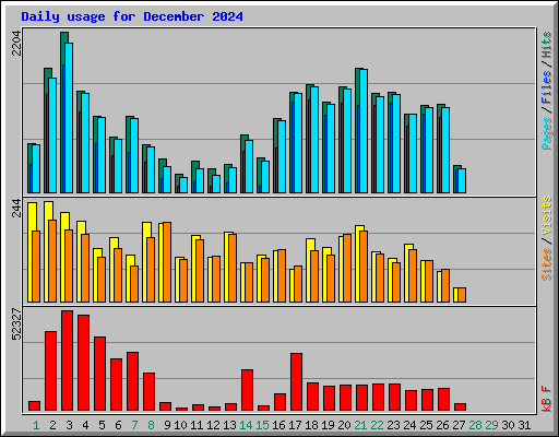 Daily usage for December 2024