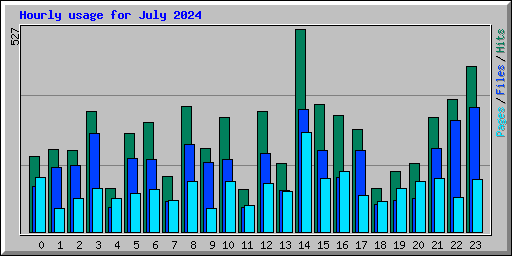 Hourly usage for July 2024