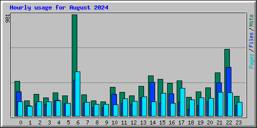 Hourly usage for August 2024