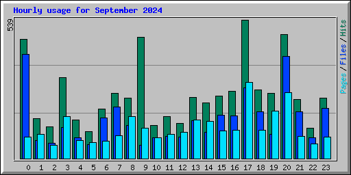 Hourly usage for September 2024