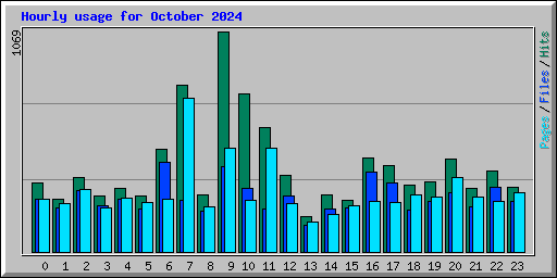 Hourly usage for October 2024