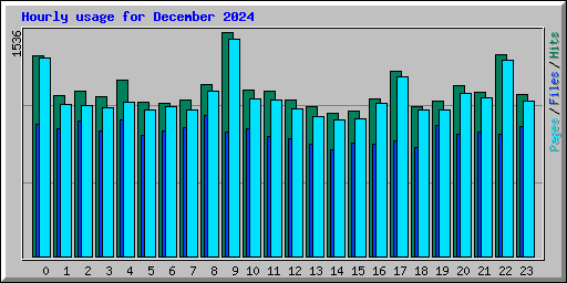 Hourly usage for December 2024