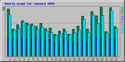 Hourly usage for January 2025