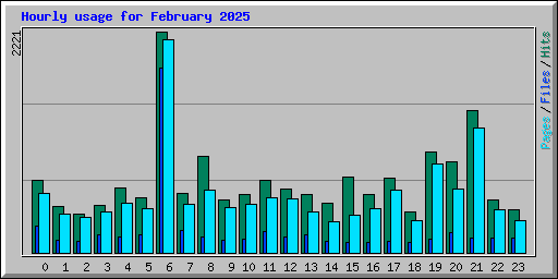 Hourly usage for February 2025