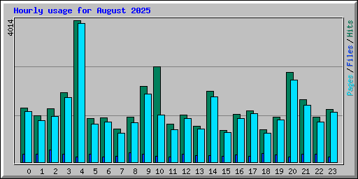 Hourly usage for August 2025
