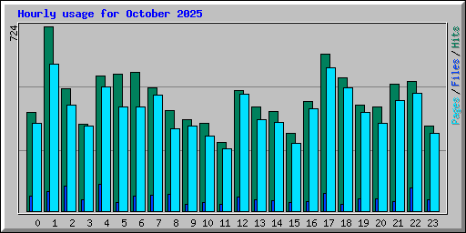 Hourly usage for October 2025