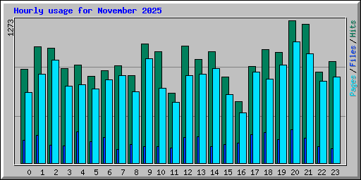 Hourly usage for November 2025