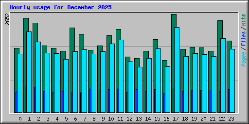 Hourly usage for December 2025