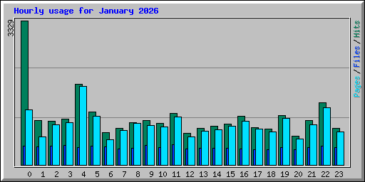 Hourly usage for January 2026