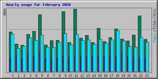 Hourly usage for February 2026