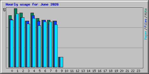 Hourly usage for June 2026