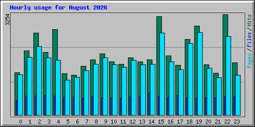 Hourly usage for August 2026