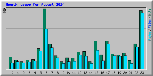 Hourly usage for August 2024