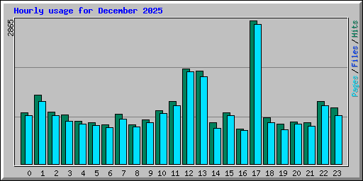 Hourly usage for December 2025