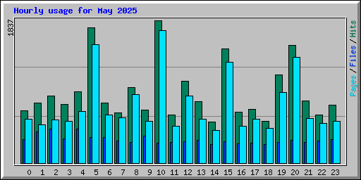 Hourly usage for May 2025