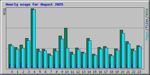 Hourly usage for August 2025