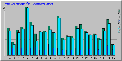 Hourly usage for January 2026
