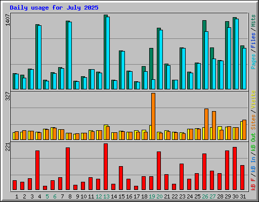 Daily usage for July 2025