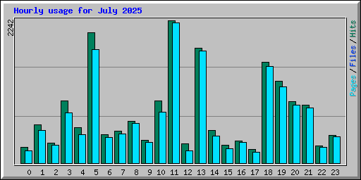Hourly usage for July 2025