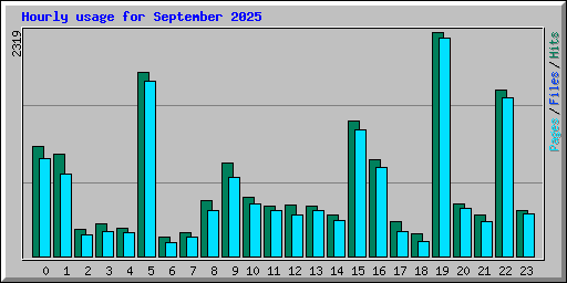 Hourly usage for September 2025