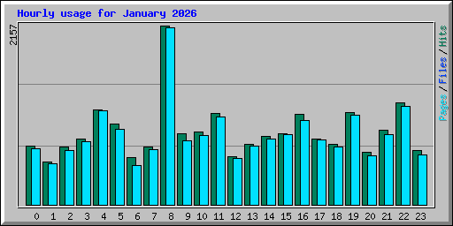 Hourly usage for January 2026